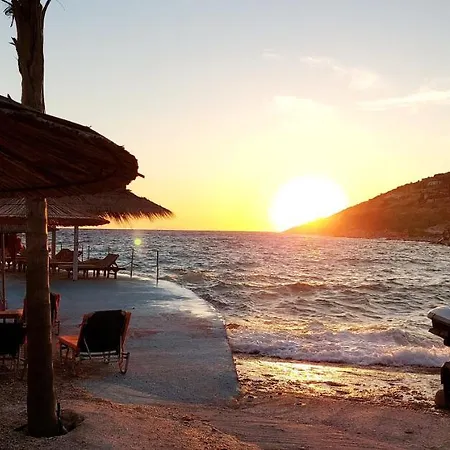 Cirasola - White 1 *